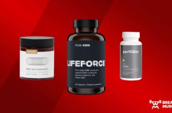 Greatest NMN Complement of 2024, In keeping with a...