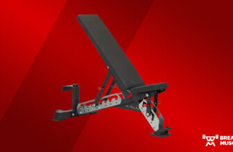 Titan Collection Adjustable Bench Evaluation (2024...