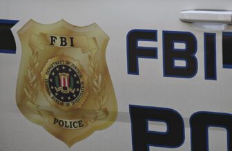 Alaska Man Reported Somebody for AI CSAM, Then Rec...