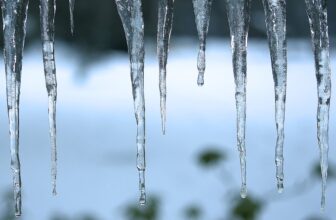 The Chilly Is Killing Extra People Each 12 months,...