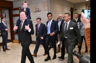 Elon Musk Spent His Christmas Vacation Getting Mad...