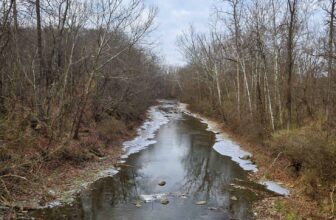 The Little Issues Publication #446 – Life, l...