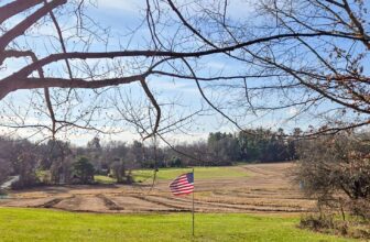 The Little Issues E-newsletter #449 – Life, ...