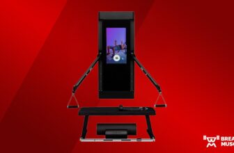 Skilled-Examined: Tonal Overview (2025) – Br...