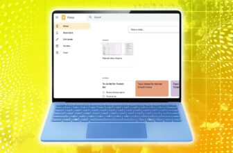 Finest Google Preserve options