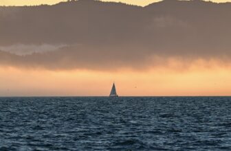 Europe’s New AI Climate Mannequin Is Quicker, Sm...