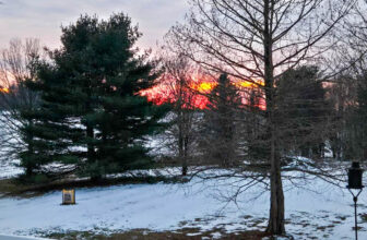 The Little Issues E-newsletter #455 – Life, ...