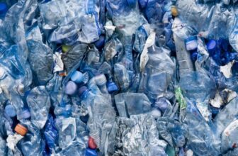 Scientists Sound the Alarm Over Plastics in Our Br...