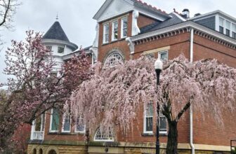 The Little Issues E-newsletter #463 – Life, ...