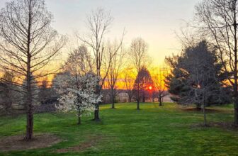 The Little Issues E-newsletter #464 – Life, ...