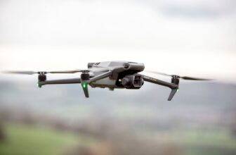 Florida Invoice Would Let Florida Males Shoot Down...