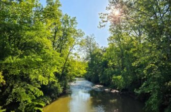 The Little Issues Publication #470 – Life, l...