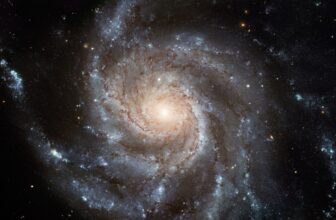 Does Mild Touring By House Put on Out?