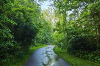 The Little Issues Publication #472 – Life, l...