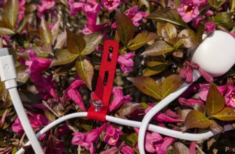 When you solely purchase one USB-C charger in 2025...