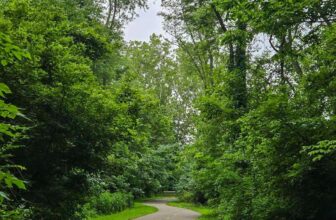 The Little Issues E-newsletter #477 – Life, ...