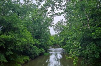 The Little Issues Publication #478 – Life, l...