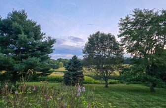 The Little Issues Publication #485 – Life, l...