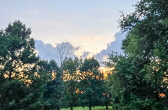 The Little Issues E-newsletter #488 – Life, ...