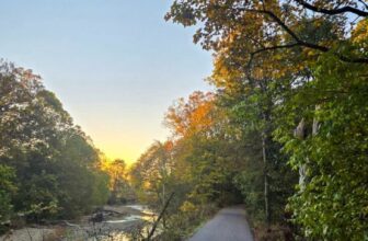 The Little Issues E-newsletter #491 – Life, ...