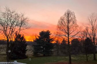 The Little Issues E-newsletter #501 – Life, ...