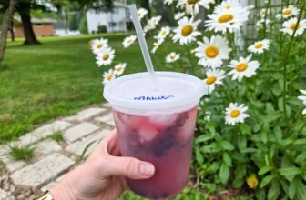 Simple Mocktails – Barefeet within the Kitch...